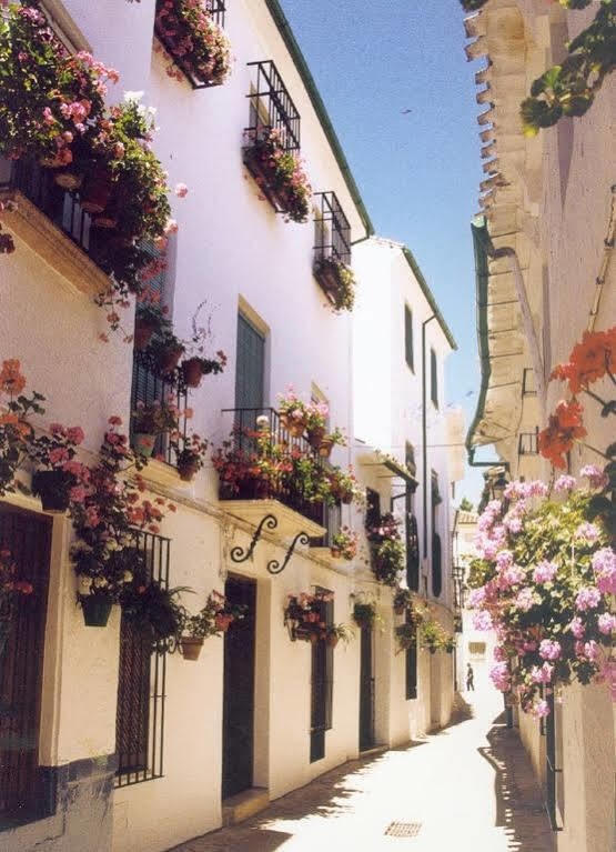 La Posada Real Priego De Cordoba Ngoại thất bức ảnh
